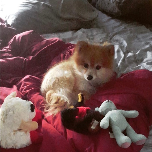 Meet your Posher, Jackie - Picture 9 of 9